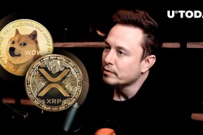 爱游戏体育-马斯克再次发推,XRP瞬间上上扬202%!的简单介绍